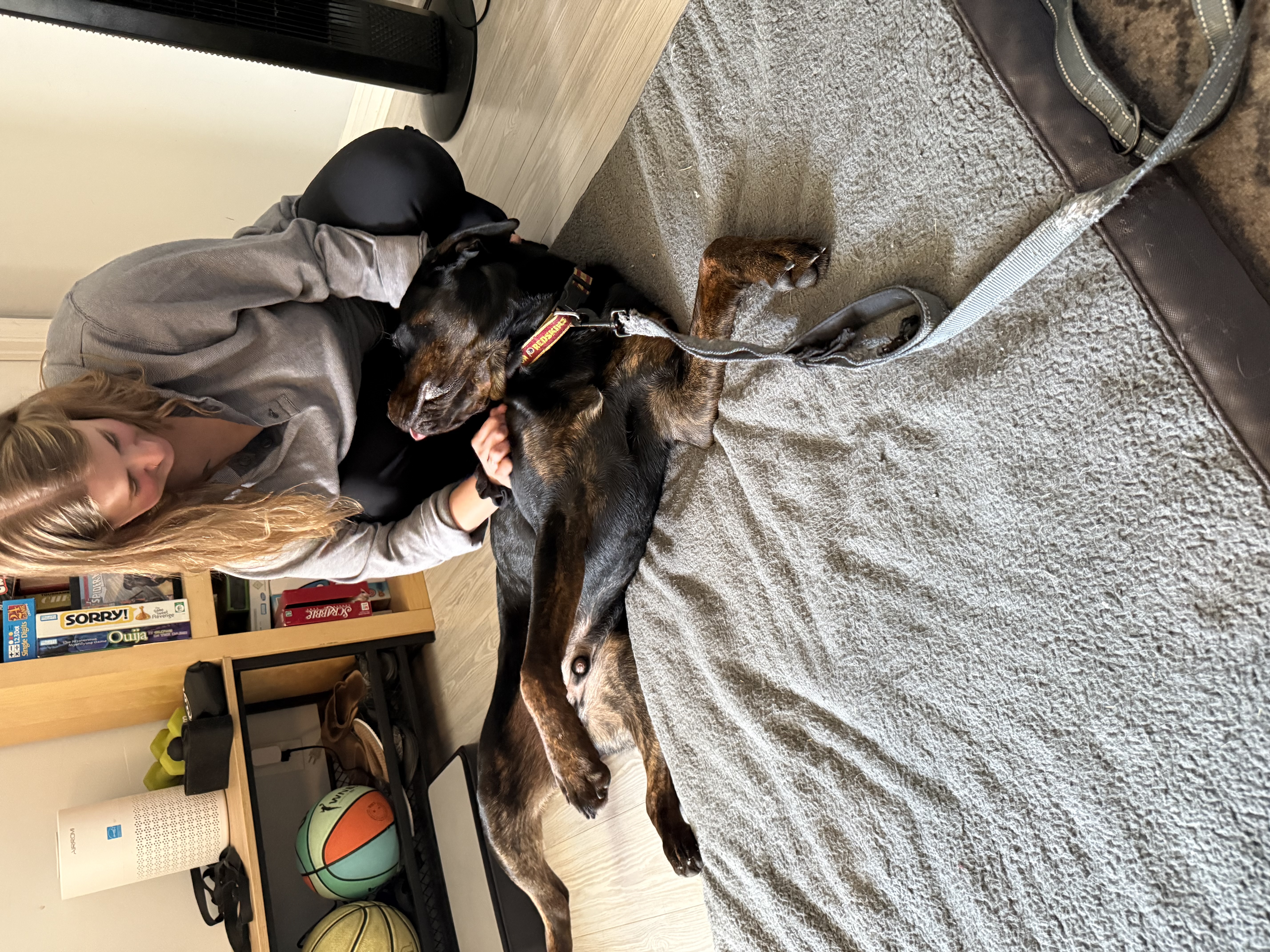 Boarded dog fun moment