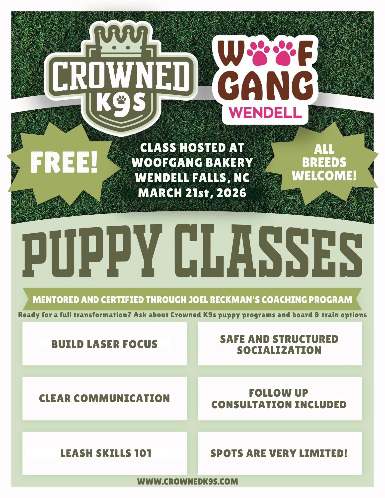 Past Puppy Class March 21st at Woof Gang Wendell