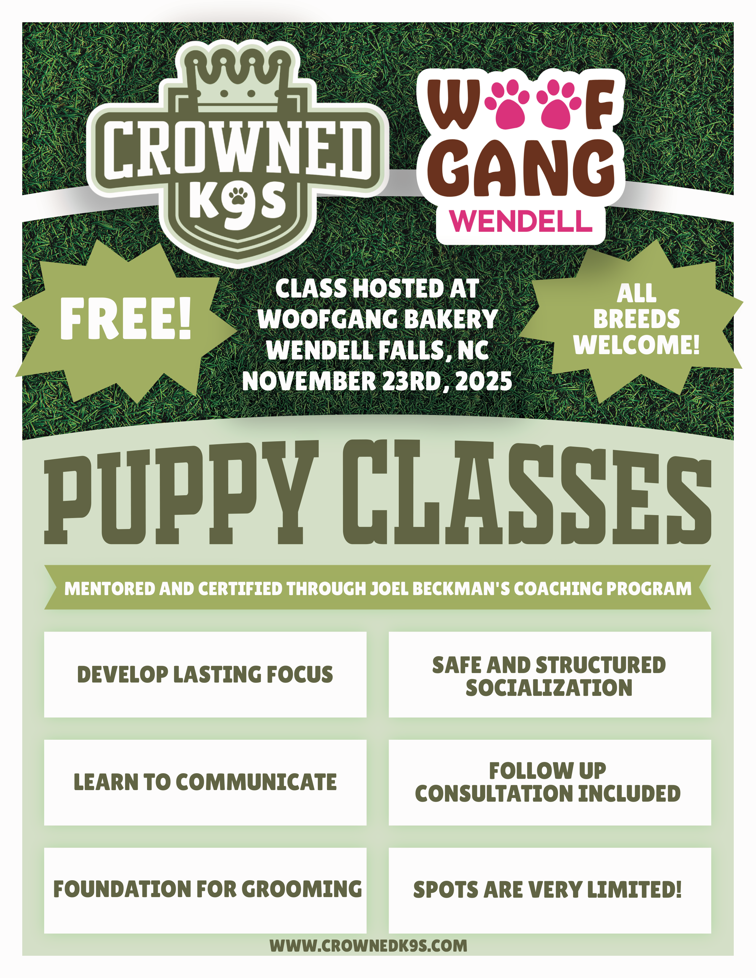 Past Puppy Class at Woof Gang